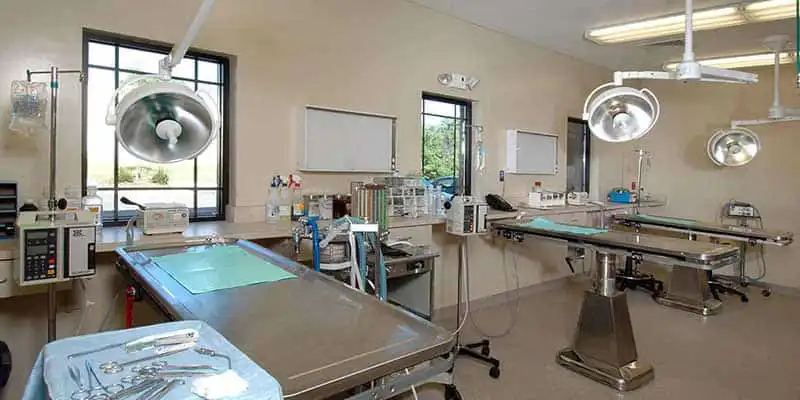 Our treatment area