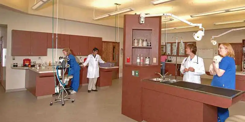 Our treatment area