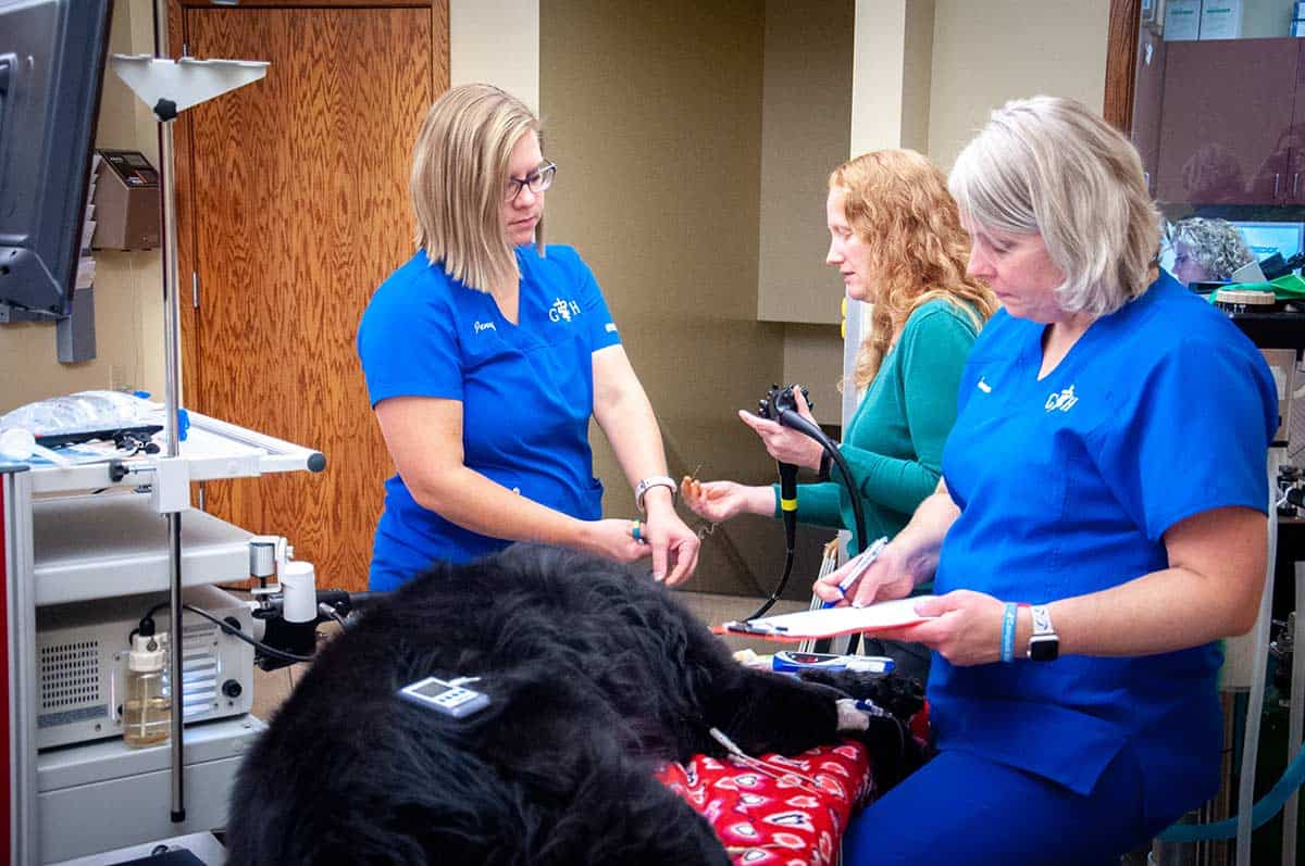 Our staff doing an x-ray of one of our patients