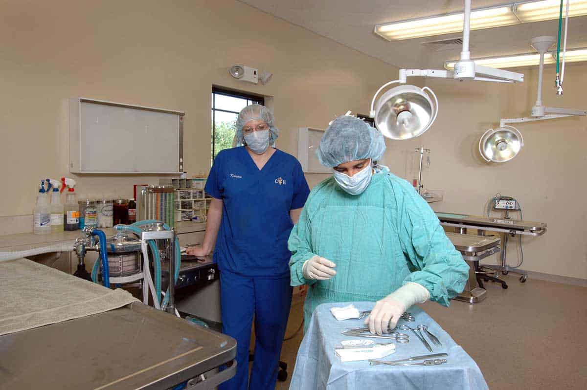 Our vets setting up a surgical procedure