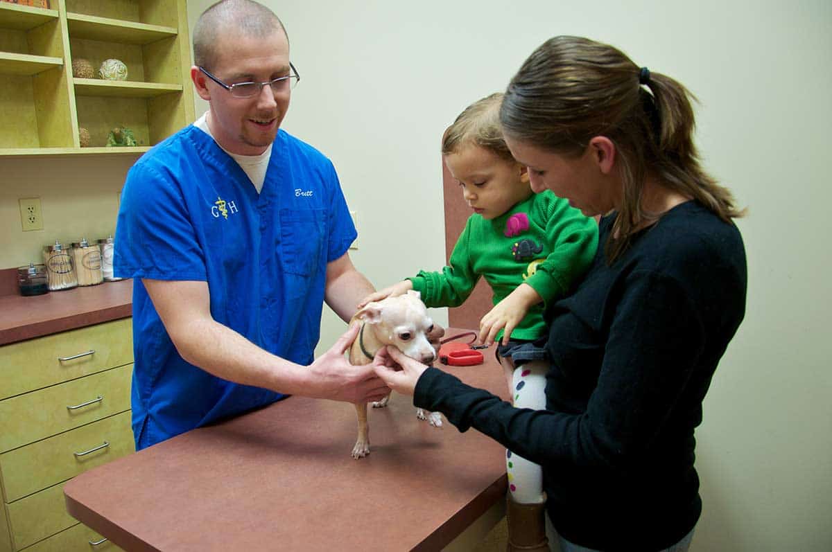 Staff and client with one of our patients