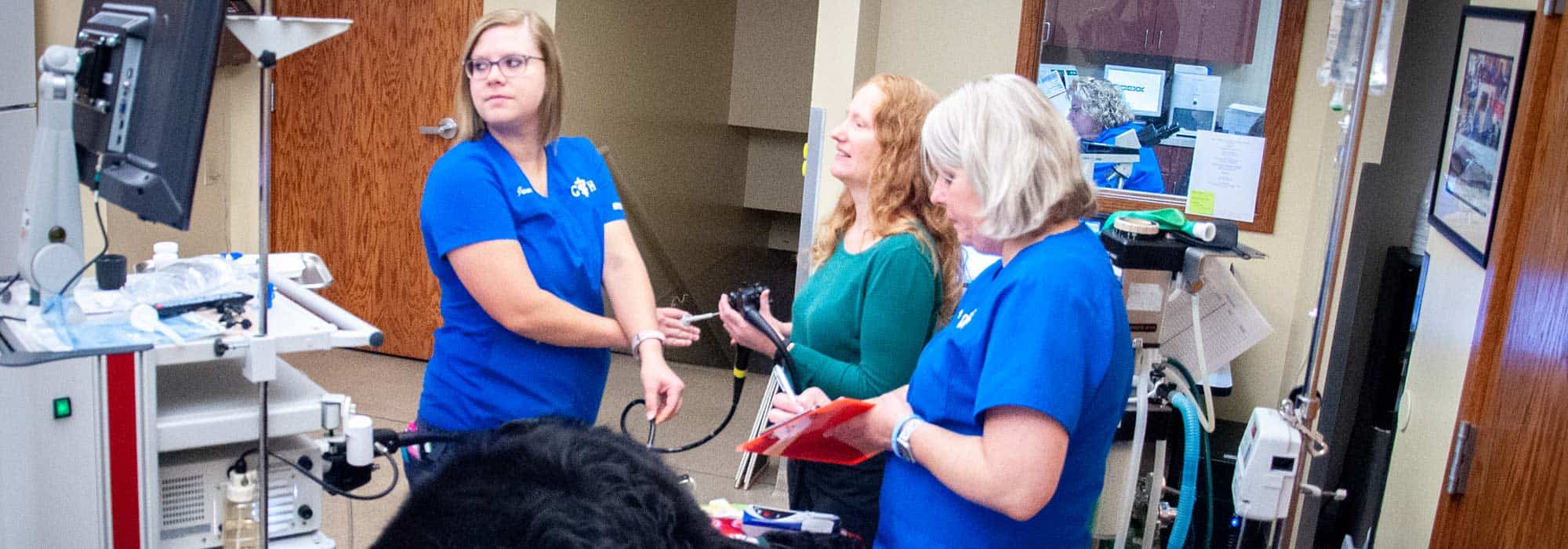 Veterinary Internal Medicine in Cincinnati OH