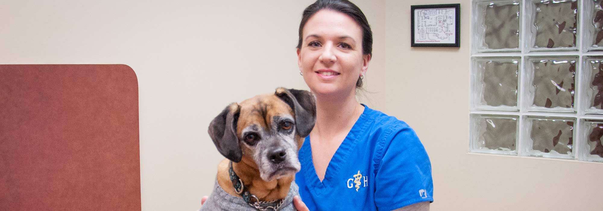 Veterinary Services in Cincinnati OH